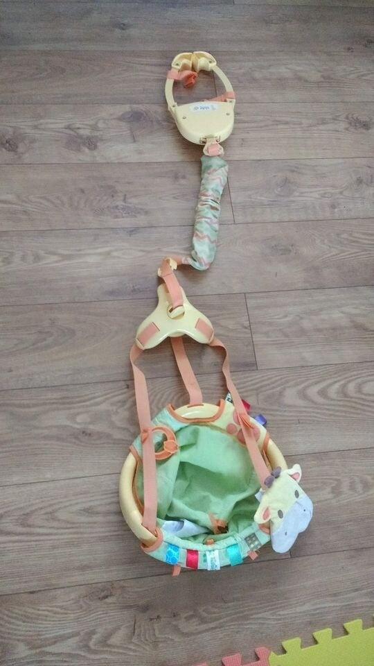 taggies door bouncer